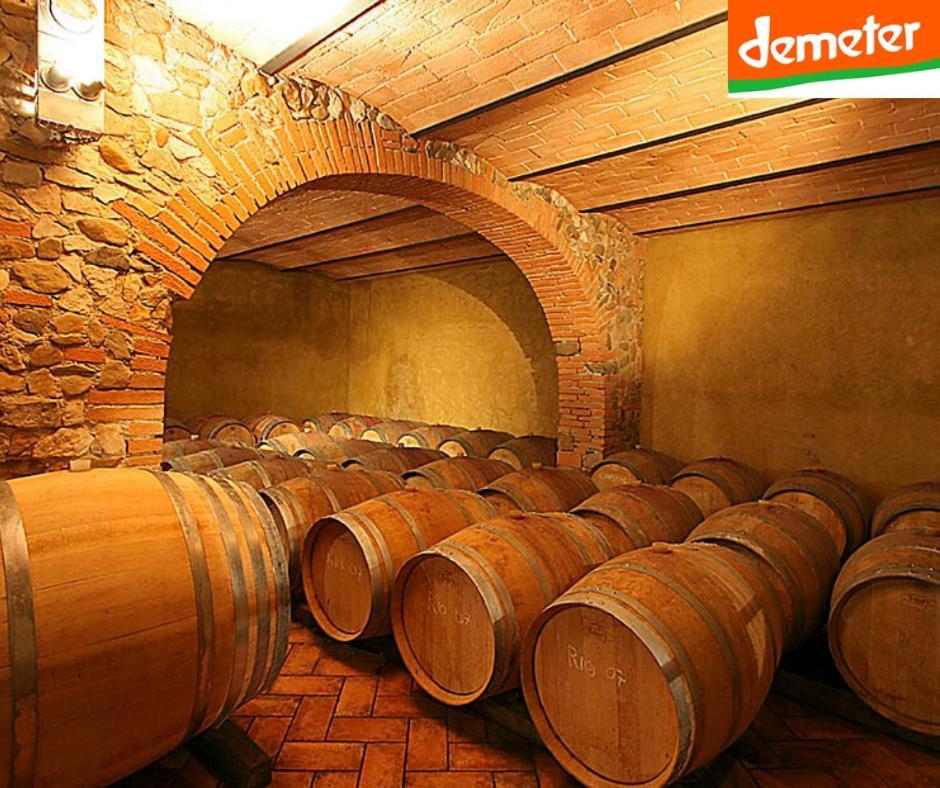 La Cerreta - Terme Di * Sassetta